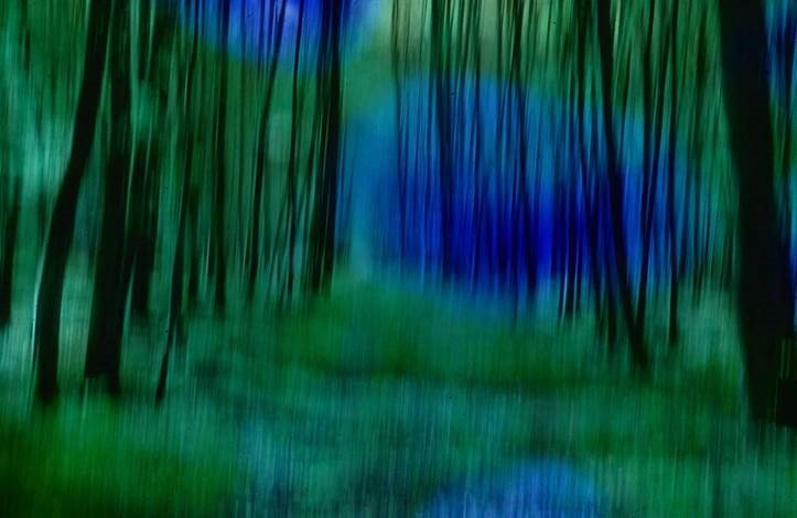 fotofreunde wettbewerb