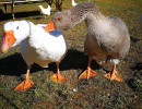 img 20201003 155534