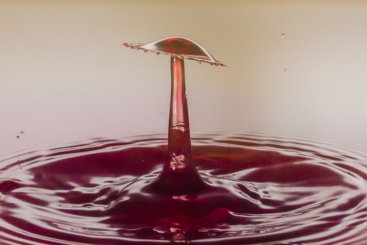 20171230 em rolografie