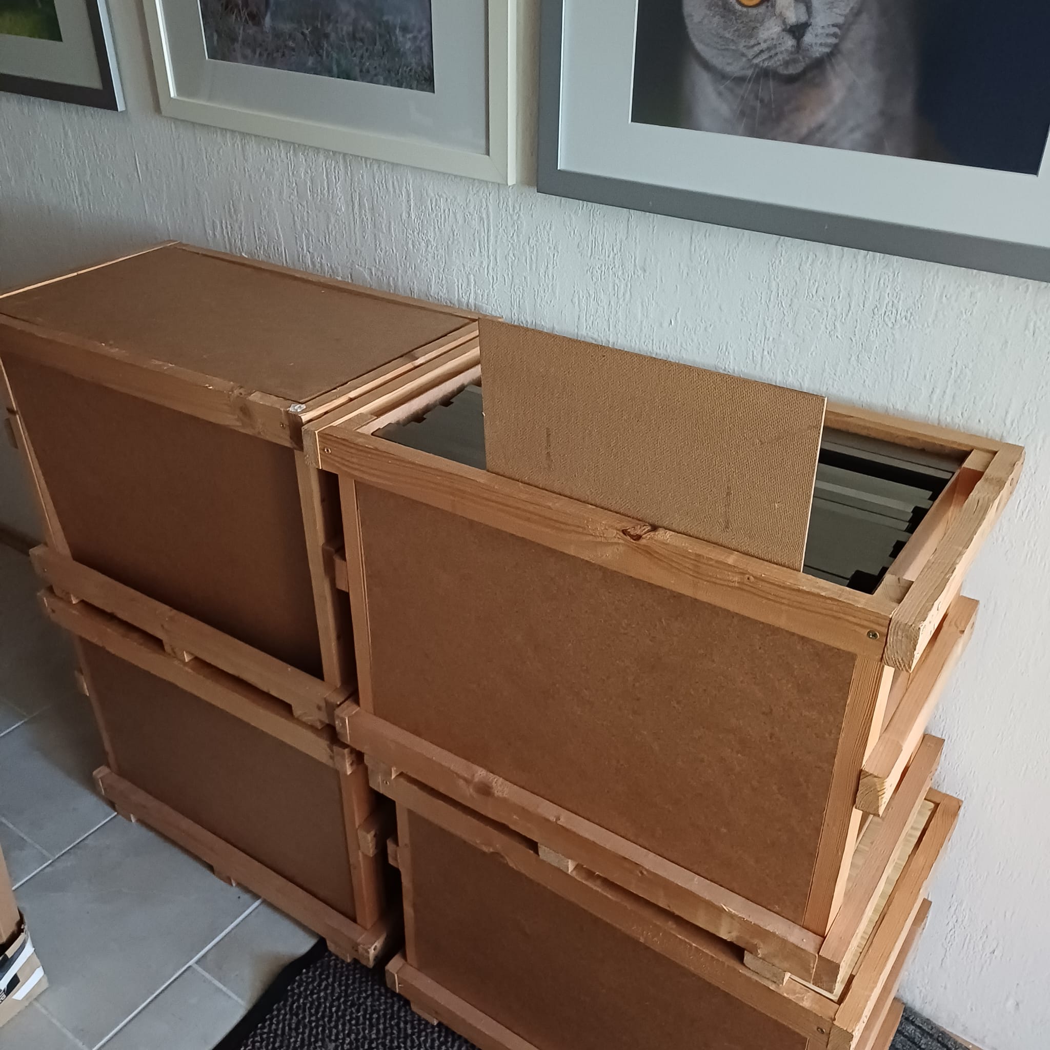 Kleben1