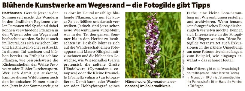 20240713 Suedwestpresse
