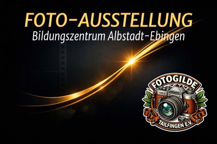 vhs-Ausstellung-Logo-Org