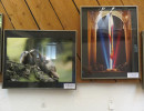 ausstellung