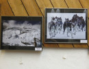 ausstellung
