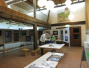 ausstellung