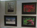 ausstellung