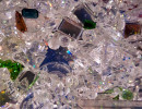 06 eva 20250531a