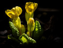imkb0801web