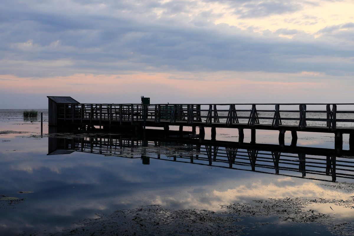 federsee 210814