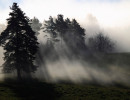 herbstimpressionen 111113 02x1600