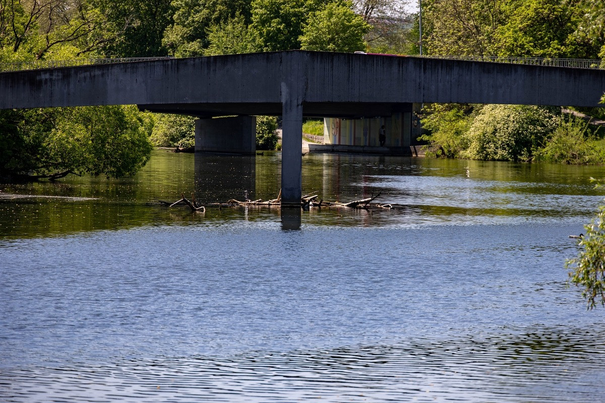 donau donautal