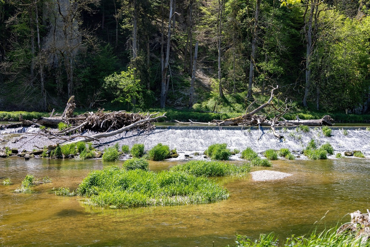 donau donautal