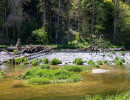 donau donautal