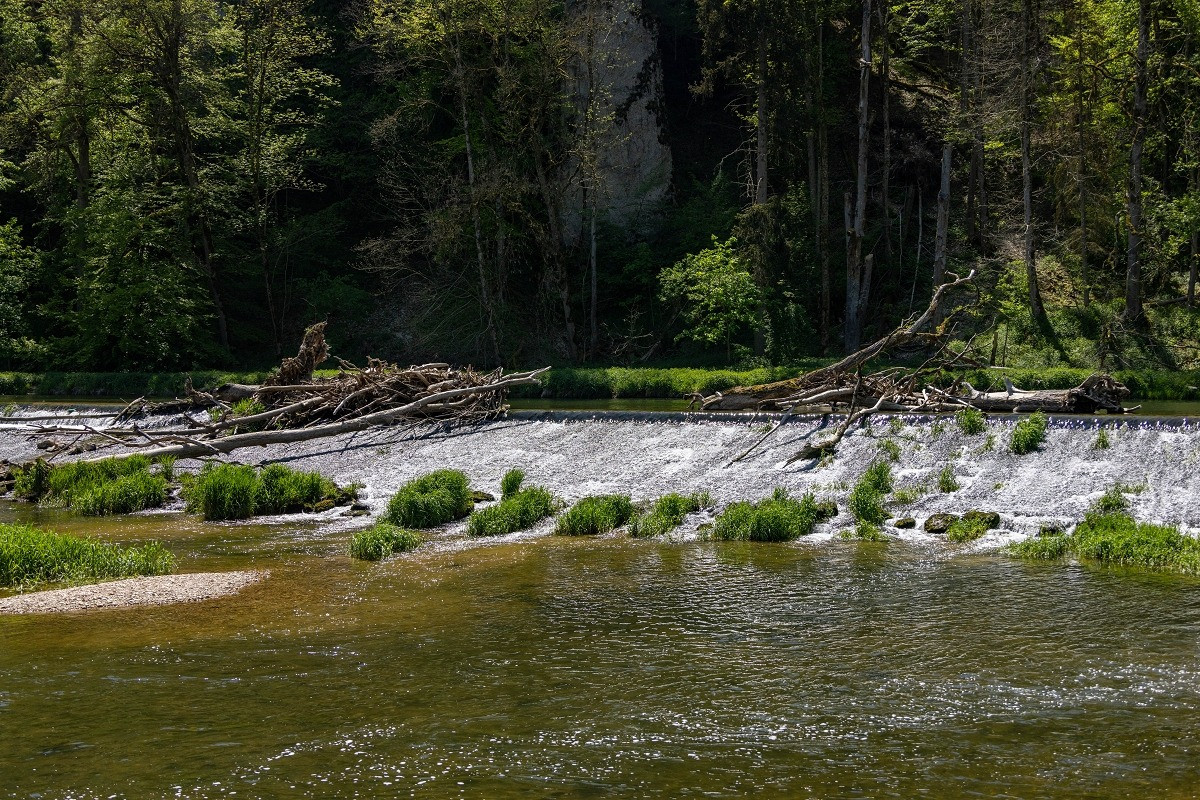 donau donautal