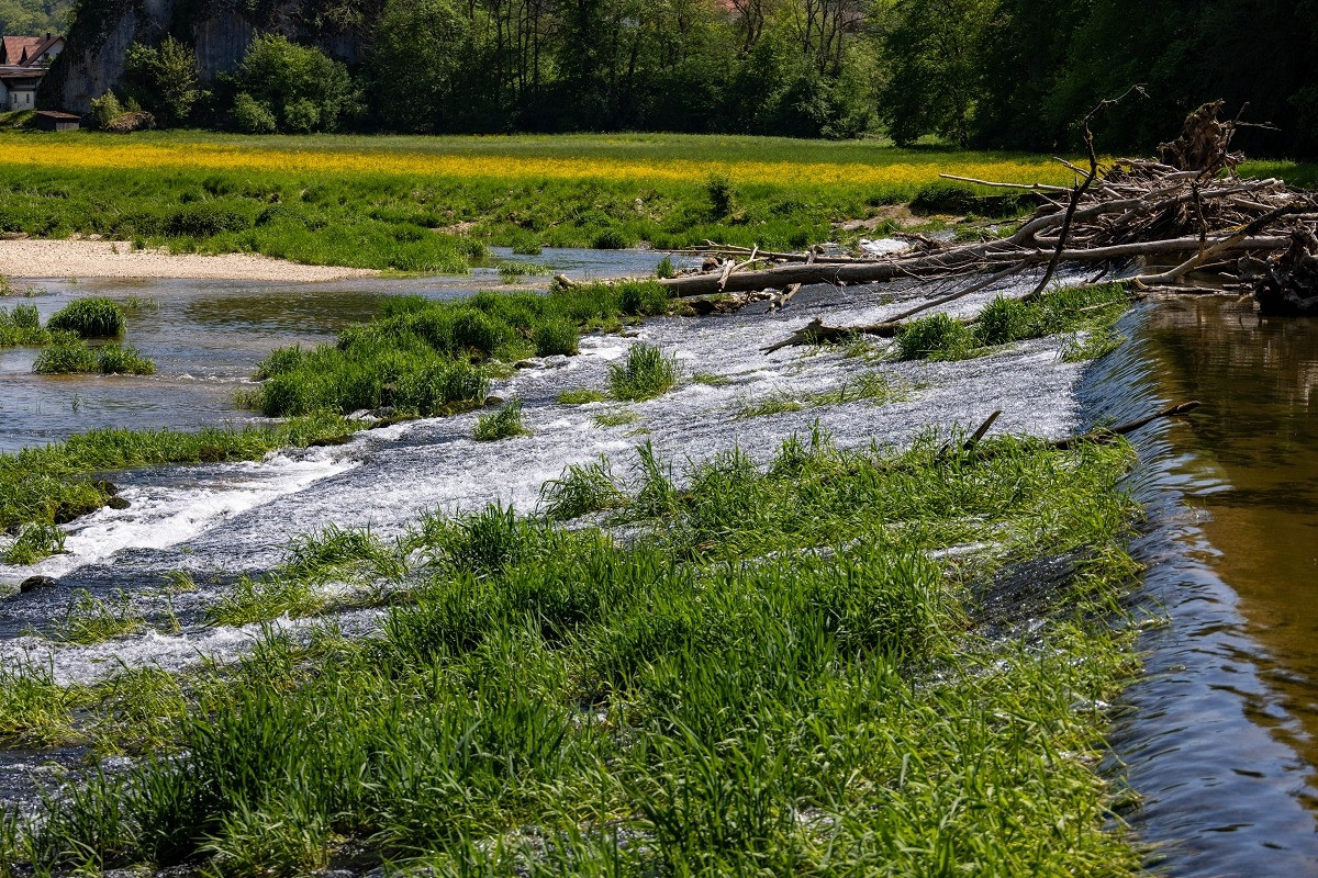 donau donautal
