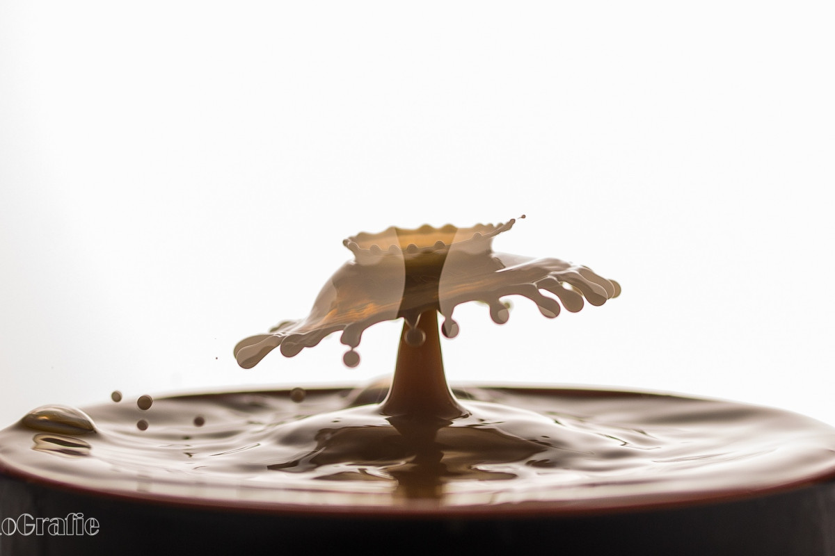 tropfenfotografie milch im kaffee